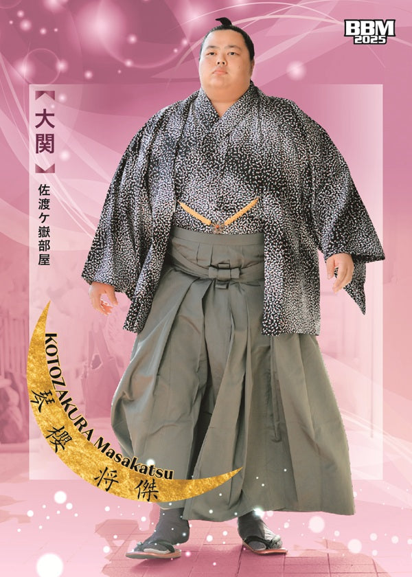 SUMO様 s-l400.jpg