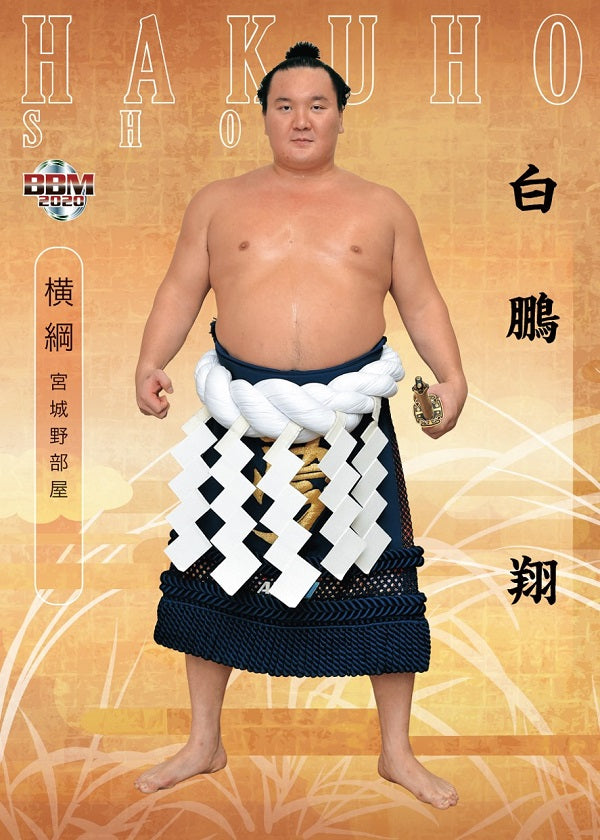 Sumo Trading Cards - 2020 series 2 – bigSUMOfan.com