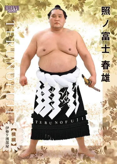 Sumo Trading Cards - 2022 series 2 – bigSUMOfan.com