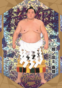 Sumo Trading Cards - 2024 series 2