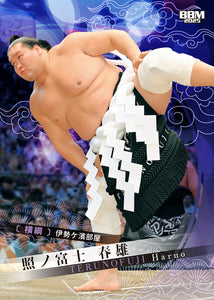 Sumo Trading Cards - 2025 series 1