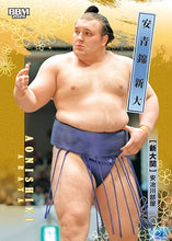 2026-1 Sumo Wrestler Trading Cards - Aonishiki
