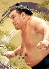 2026-1 Sumo Wrestler Trading Cards - Hoshoryu gold