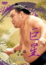 2026-1 Sumo Wrestler Trading Cards - Hoshoryu purple