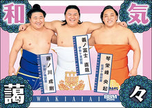 2026-1 Sumo Wrestler Trading Cards - new wrestlers