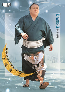 sumomoです！ s-l1200.jpg