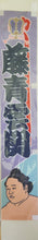 Desktop Banner - Fujiseiun