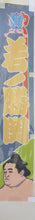 Desktop Banner - Wakanosho