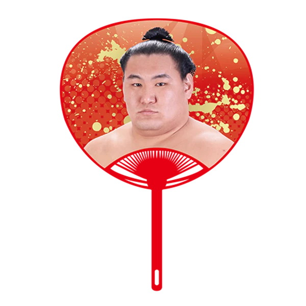 Sumo Wrestler Large Photo Fan v2 - Hoshoryu