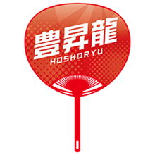 Sumo Wrestler Large Photo Fan v2 - Hoshoryu - back