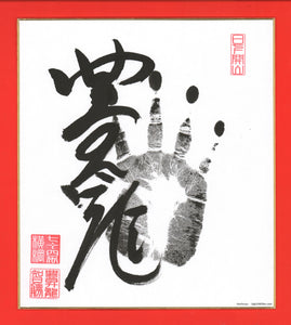 Sumo Wrestler Tegata  -  Hoshoryu
