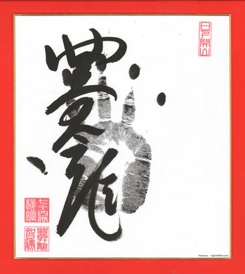 Sumo Wrestler Tegata  -  Hoshoryu