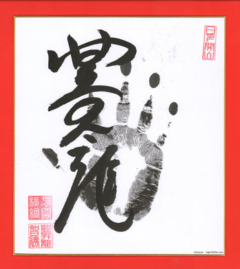 Sumo Wrestler Tegata  -  Hoshoryu