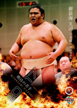 Sumo Trading Cards - 2017 series