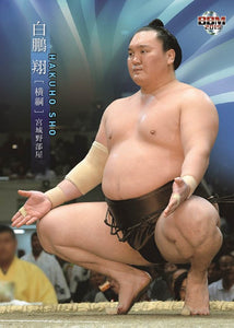 Sumo Trading Cards - 2019 series