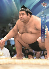 Sumo Trading Cards - 2019 series