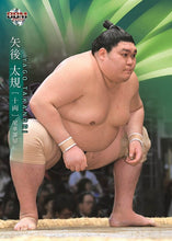Sumo Trading Cards - 2019 series