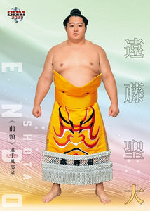 Sumo Card 2021-2  Endo