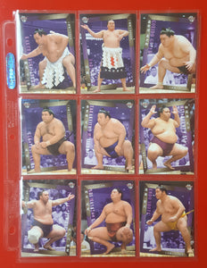Sumo Trading Card 9-Pocket Page