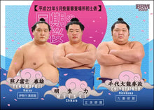 Sumo Trading Cards - 2022 series 2