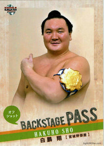 Sumo Trading Card January 2020 Hakuho