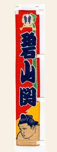 Sumo desktop banner Aoiyama