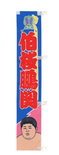 Sumo Desktop Banner  -  Hakuoho