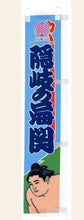 Sumo desktop banner - Okinoumi