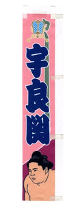 Sumo desktop banner Ura