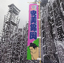 Sumo Desktop banner Aminishiki