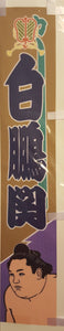 Sumo desktop banner Hakuho