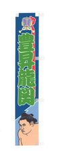 Sumo desktop banner Hoshoryu