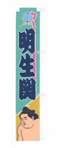 Meisei sumo banner