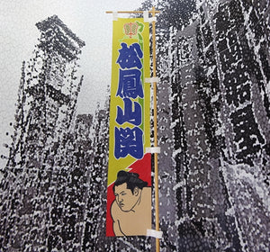 Sumo desktop banner Shohozan old version