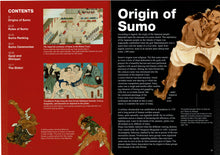 Sumo Introductory Brochures