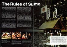 Sumo Introductory Brochures