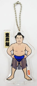 Sumo Keychain & Stand Hoshoryu