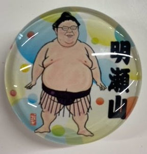 Sumo wrestler magnet Akiseyama 
