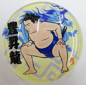 Sumo wrestler magnet Hoshoryu