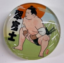 Sumo wrestler magnet Midorifuji