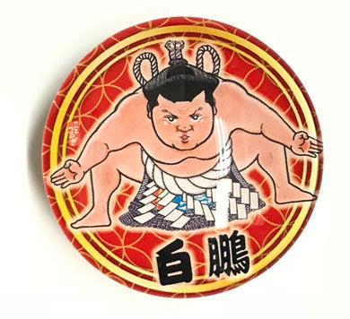 Wrestler Magnets