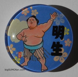 Sumo Wrestler Magnet - Meisei