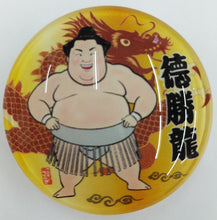 Sumo wrestler magnet Tokushoryu