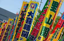 Sumo Nobori banners at Kokugikan