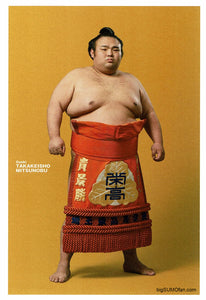 Sumo Postcard Takakeisho