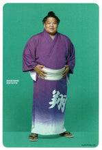 Sumo Wrestler Postcard - Daieisho