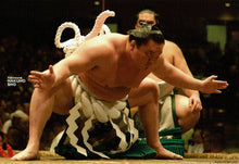 Sumo Wrestler Postcard - Hakuho performing Dohyo-iri