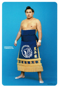Sumo Wrestler Postcard - Hoshoryu