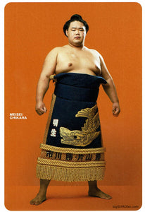 Sumo Wrestler Postcard - Meisei in Kesho-mawashi