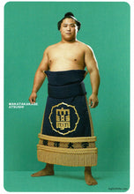 Sumo Postcard Wakatakakage
